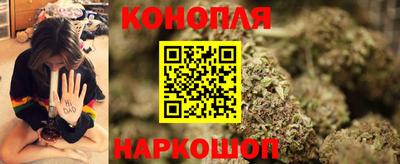 прущие грибы Новодвинск