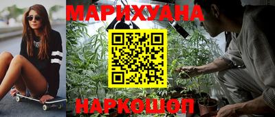 прущие грибы Новодвинск