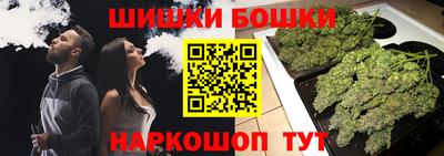 прущие грибы Новодвинск