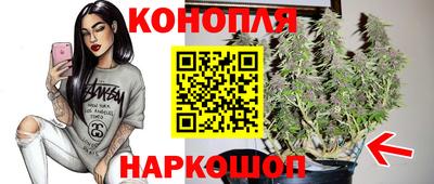 PSILOCYBIN Новокубанск