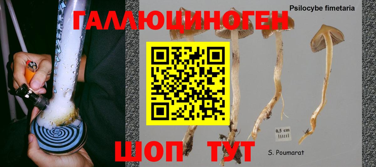 МЕФ   Cocaine  Топки  Вход с VPN  NBOMe  LSD-25  ГАШИШ  Каннабис 