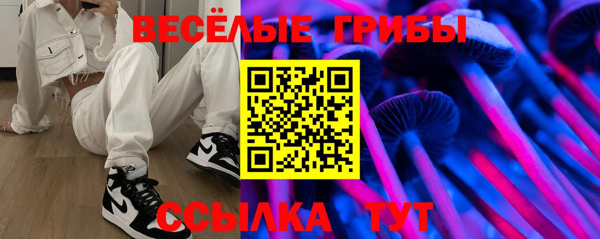 наркота  Галлюциногенные грибы мухоморы  Вход с VPN  Топки 