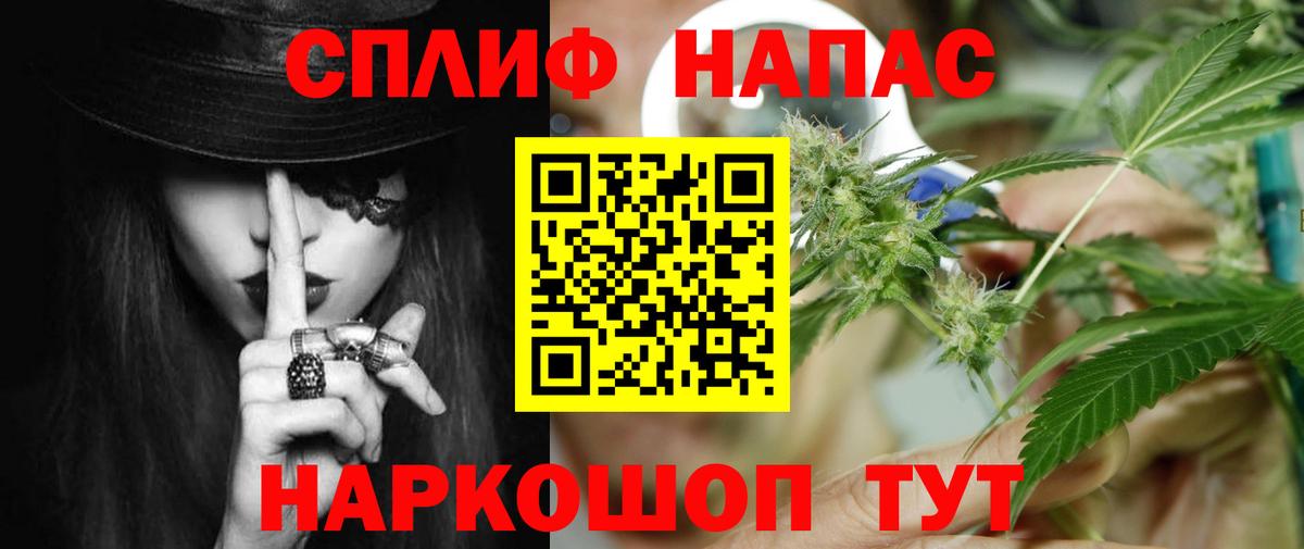 Бошки Шишки Топки